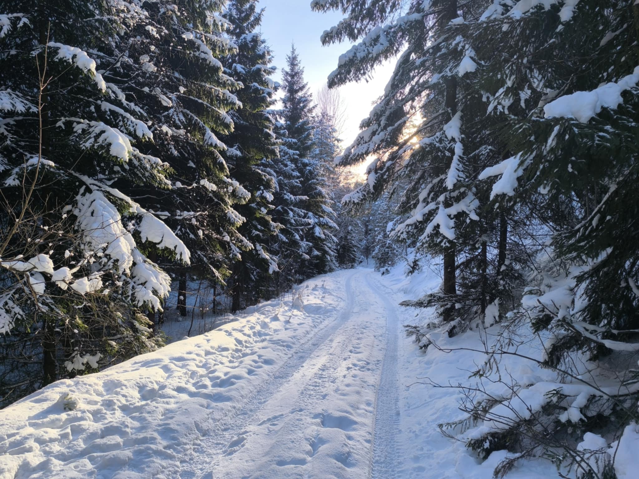 Chata na prenájom 11